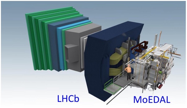 The MoEDAL and LHCb geometry models.